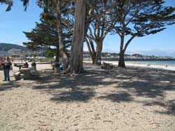 picture of a picnic area on the beach in Monterey